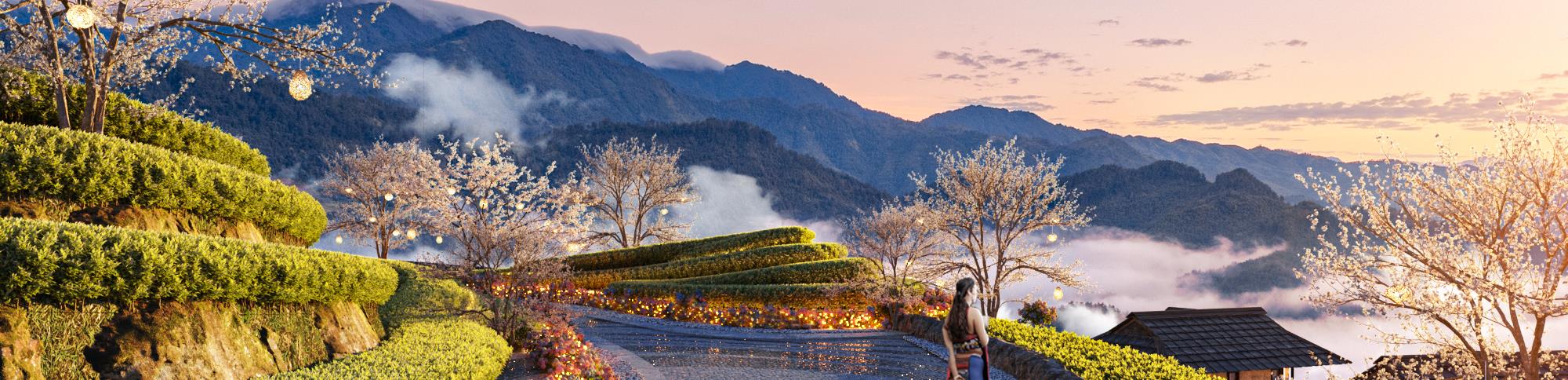 Terraced rice fields panorama